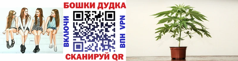 Бошки Шишки план Сретенск